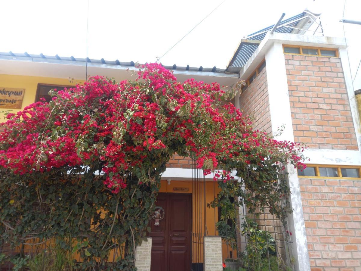 Monkeywasi Climbing Hostel Huaraz  Exterior foto